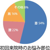 初回来院時のお悩み部位